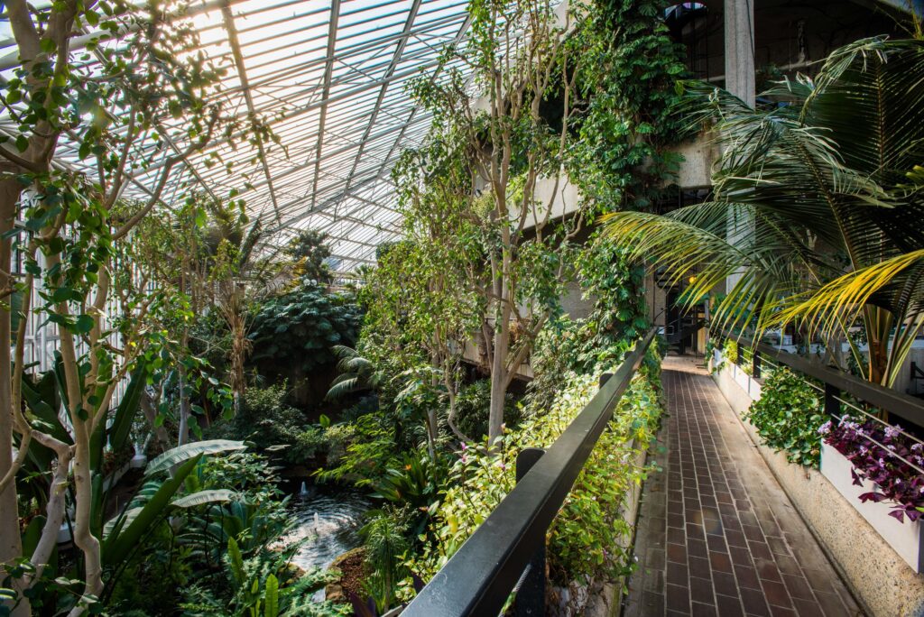 Barbican conservatory venue hire