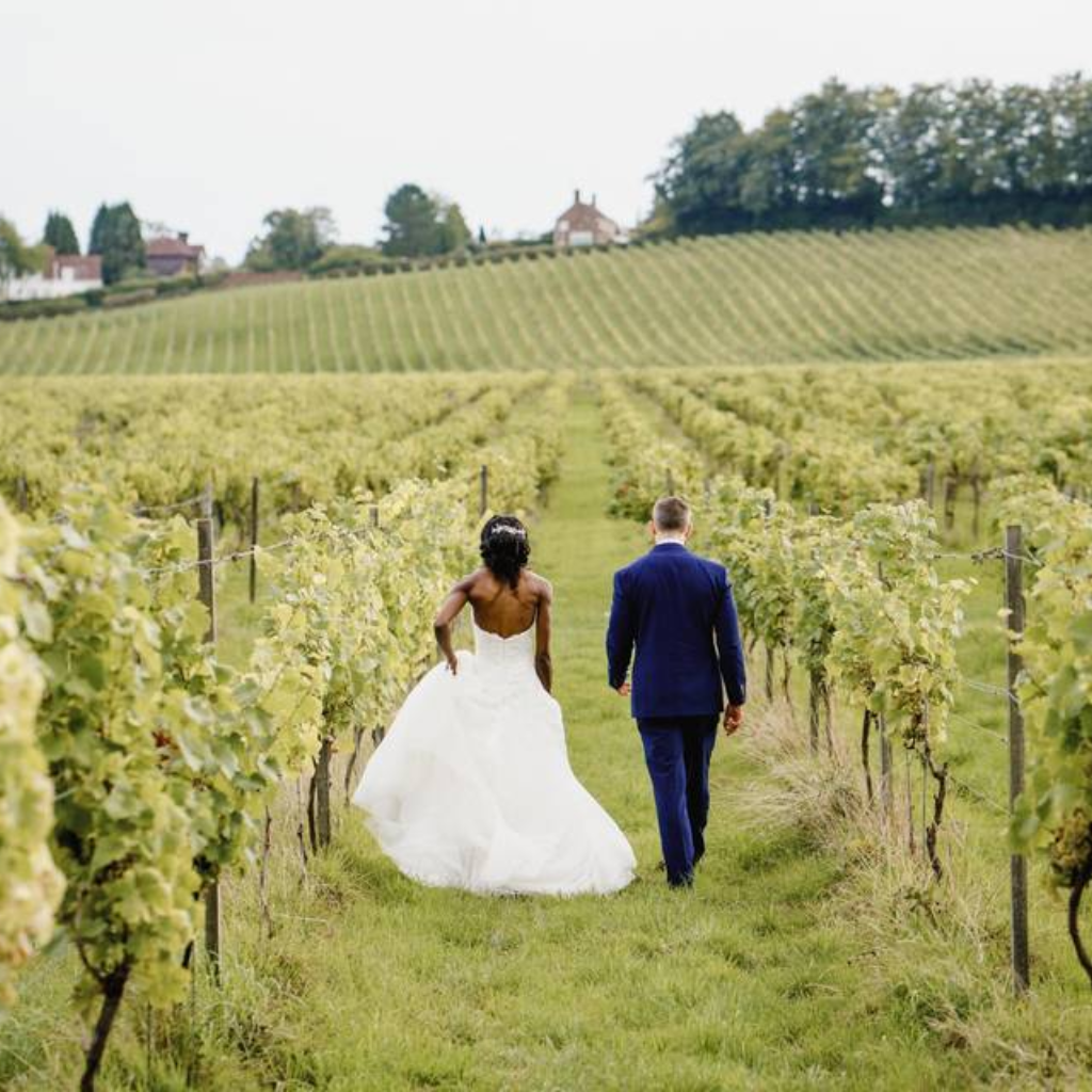 denbies wine estate wedding venue